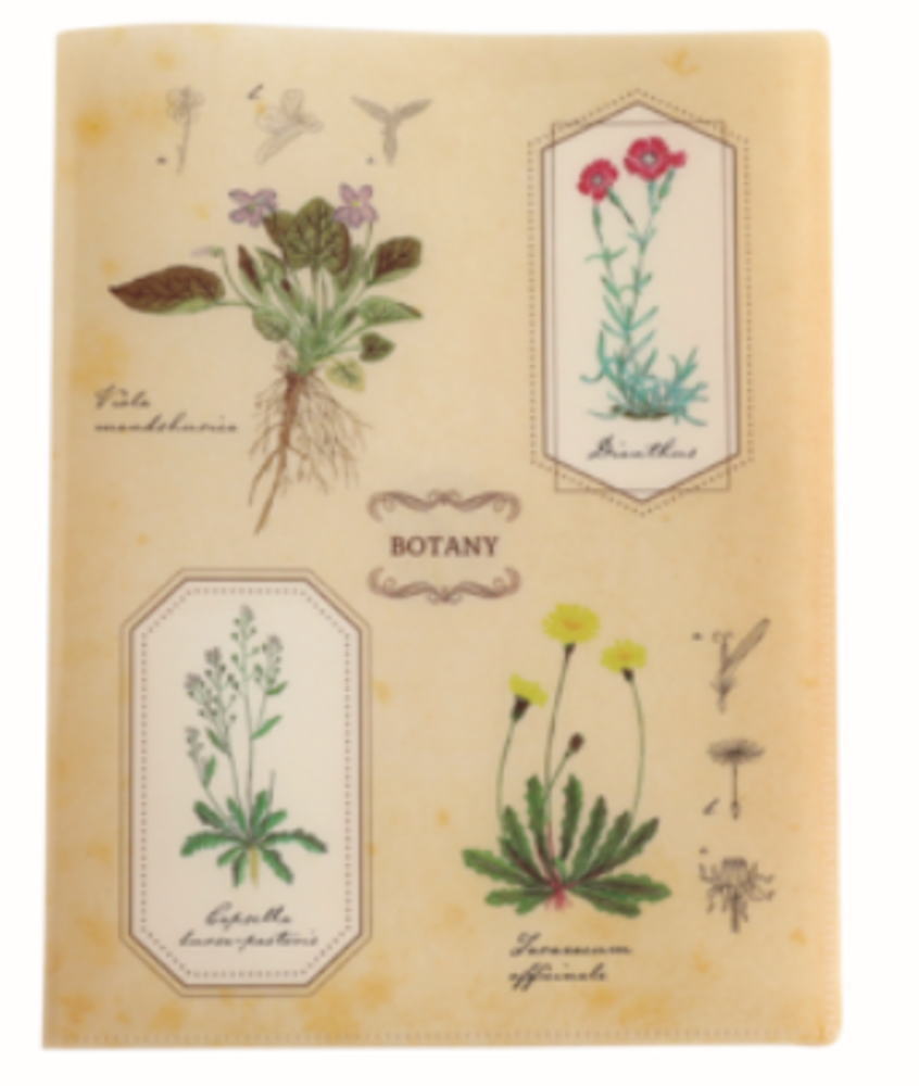 オリジナル　A4クリアブックファイル植物学　STUDY HOLIC　ケース　カバー　ファイル入れ　収納　文房..