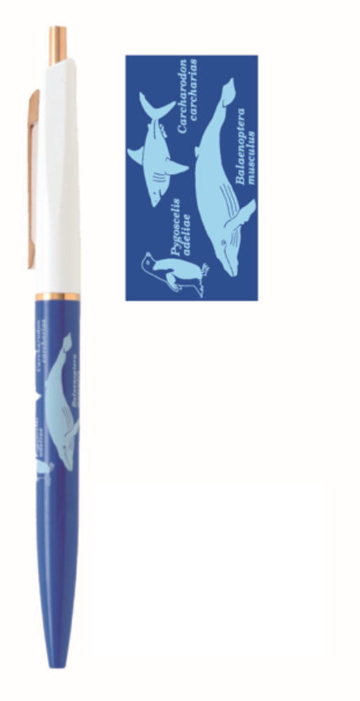 【5個セット】　【セット】　【セット商品】　【日本製】　オリジナル　ボールペン海洋生物学　STUDY H..