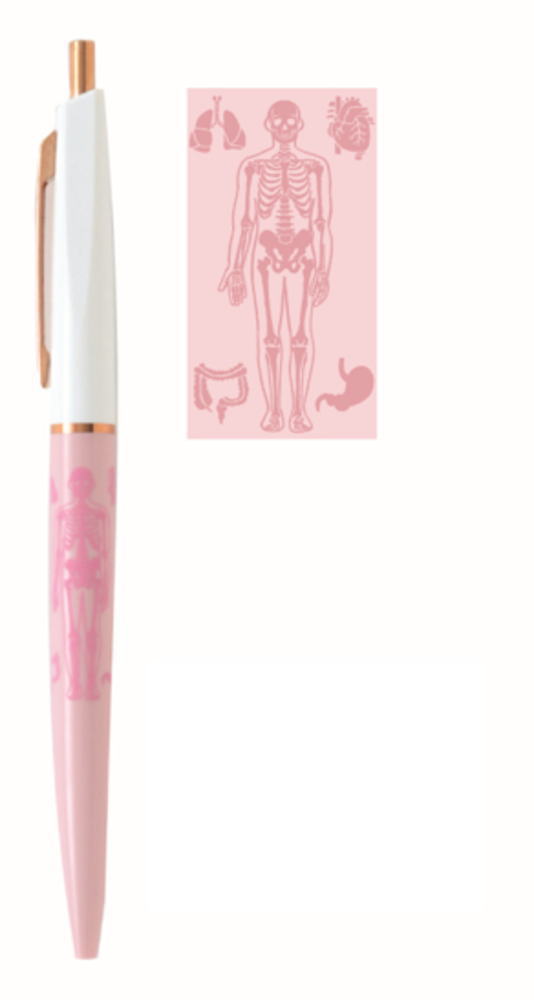 【5個セット】　【セット】　【セット商品】　【日本製】　オリジナル　ボールペン人類生物学　STUDY H..