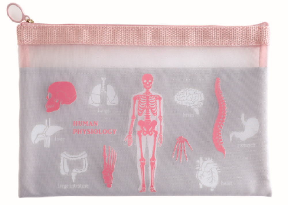 オリジナル　メッシュA5ポーチ人類生物学　STUDY HOLIC　ケース　ペン入れ　筆箱　ノート　整理　収納..