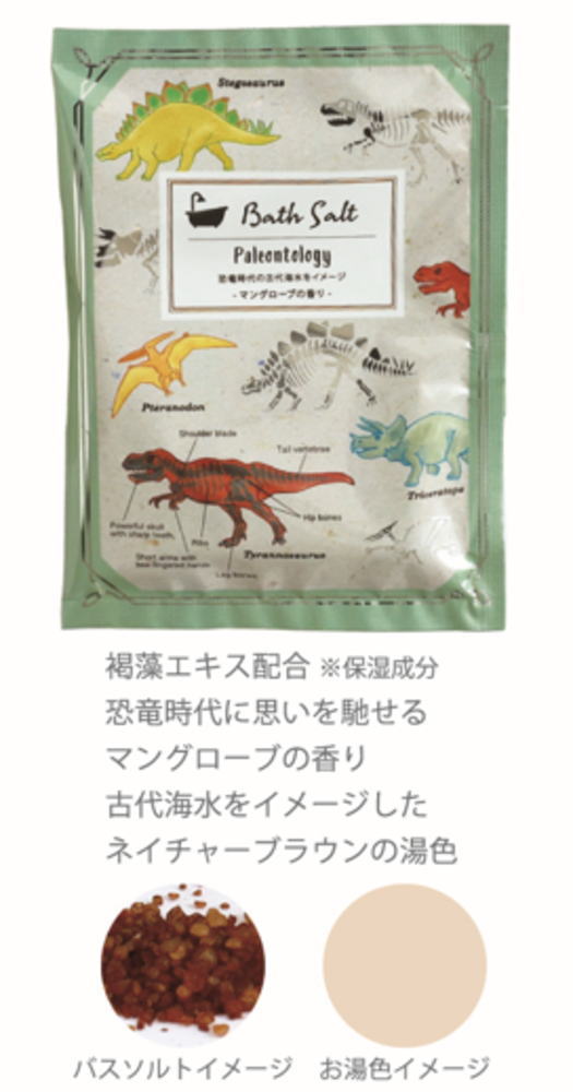 【12個セット】　【セット】　【セット商品】　オリジナル　バスソルト古生物学　STUDY HOLIC　入浴剤..