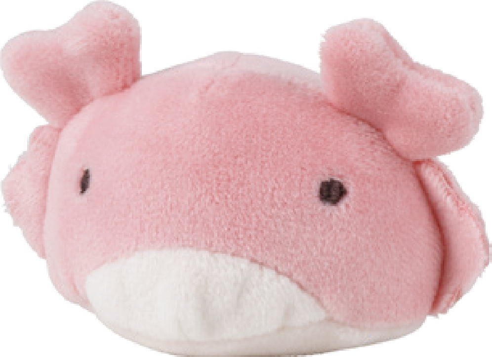 【送料無料】【オリジナル】【マシュマロアクアミエ】マグネット【カニ】【海】【生き物】【磁石】【キッチン】【インテリア】【雑貨】【グッズ】【かわいい】