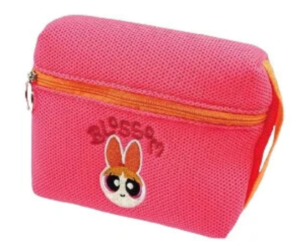 【送料無料】　パワーパフガールズ 　メッシュポーチブロッサム　パワパフ　アニメ　アメキャラ　ケース　小物入れ　収納　メイク　化粧　コスメ　雑貨　グッズ　かわいい