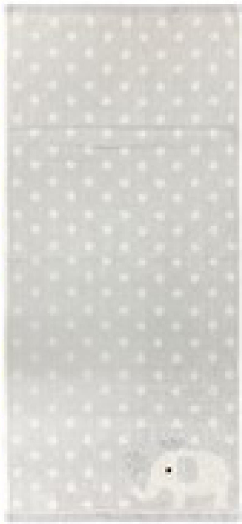 【送料無料】　【5枚セット】　【セット】　【セット商品】　オリジナル　フェイスタオルゾウ　ハーテ..