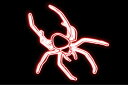 ネオン 蜘蛛くも クモ スパイダー 虫 アニマル 動物 ネオンライト 電飾 LED ライト サイン neon 看板 イルミネーション インテリア 店舗 ネオンサイン アメリカン雑貨 おしゃれ