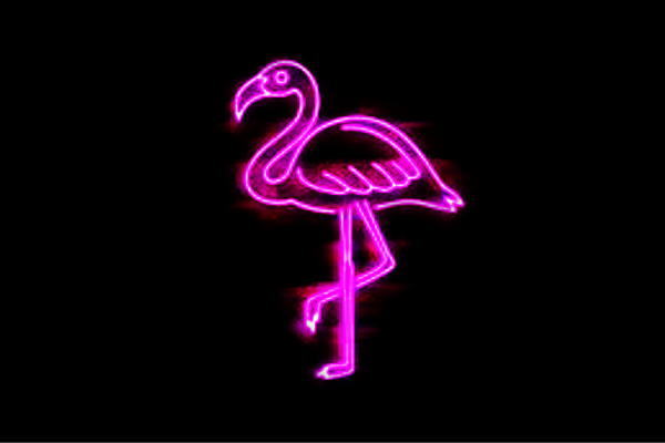 ネオン　フラミンゴふらみんご　鳥　とり　トリ　動物　アニマル　ネオンライト　電飾　LED　ライト　..