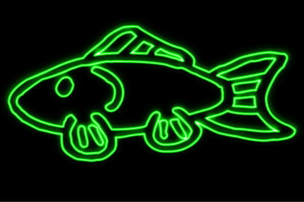 ネオン　お魚2　魚　フィッシュ　タイ　鯛　さかな　サカナ　海　FISH　ネオンライト　電飾　LED　ライト　サイン　neon　看板　イルミネーション　インテリア　店舗　ネオンサイン　アメリカン雑貨　かわいい　おしゃれ