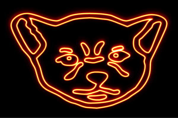 ڥͥ۸ե2ۡڸۡڥɥåۡڥ̡ۡڤ̡ۡڻҸۡưʪۡڥ˥ޥۡڥͥ饤ȡۡžۡLEDۡڥ饤ȡۡڥ...
