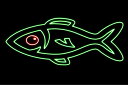 ネオン お魚16 魚 フィッシュ さかな サカナ FISH 海 うみ ネオンライト 電飾 LED ライト サイン neon 看板 イルミネーション インテリア 店舗 ネオンサイン アメリカン雑貨 おしゃれ