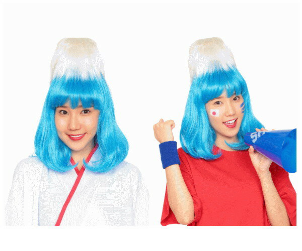 グッズ　日本の山富士山　山　カツラ　かつら　ヘアー　ウィッグ　パーティ　ハロウィン　コスプレ　コスチューム　衣装　仮装　かわいい