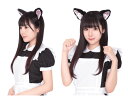 グッズ　けもみみピン黒ねこ　ネコ　キャット　ヘアピン　アイテム　小物　ハロウィン　コスプレ　コスチューム　衣装　仮装　かわいい