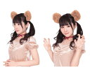 グッズ けもみみピンくま クマ ベア ヘアピン アイテム 小物 ハロウィン コスプレ コスチューム 衣装 仮装 かわいい(3)