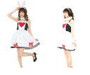 最終価格 レディ ワンダーラビット ガールアリス Alice 不思議の国のアリス ガール 仮装 衣装 集団仮装 コスプレ コスチューム ハロウィン パーティ イベント かわいい(3)
