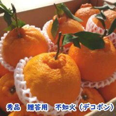 https://thumbnail.image.rakuten.co.jp/@0_mall/aoi-orangefarm/cabinet/dekopon/dekosyuu300-300.jpg
