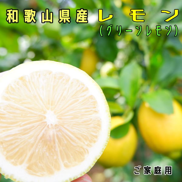 お試し 国産 レモン(グリーンレモン)約1kg ご家庭用無選別≪10月より出荷予定≫【わけあり】【ワケアリ】【送料込】【送料無料】【和歌山県産】【お買い得】【れもん】【レモン】