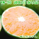 超わけあり 小玉 プチサイズ YN26(ワイエヌ26)約4.5キロ(箱込み5kg)ご家庭用 極早生(ごくわせ)みかん 【9月下旬頃収穫予定】【和歌山県産】【みか...