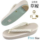 白梅 草履 -87D- レディース 綾織/帯地鼻緒 24.0cm/Free-Size ホワイトゴールド系