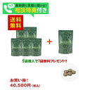 発送は、5/7以降の発送になります。 トリプルカットプラス 120粒 ×5+1袋 8100円分 ギムネマ サプリメント 糖質制限 メント 糖質カット 健康食品 ...