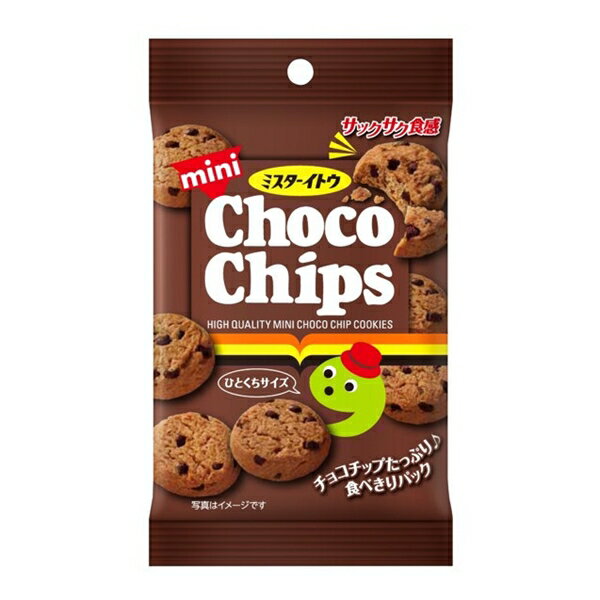 イトウ製菓 ミニチョコチップクッキー 10入