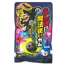 ふしぎ!?魔法使いガム 10入【駄菓子 ガム 通販 おやつ 子供会 景品 お祭り くじ引き 縁日】