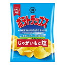 湖池屋 ポテトチップス じゃがいもと塩27g 24入