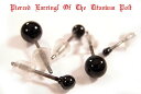ブラックボール/2mm/3mm/4mm/5mm/6mm/チタンポスト/シリコンキャッチ/スタッドピアス(片売り)1-975-976-972-978-979