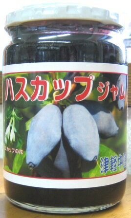 驚異の果実ハスカップジャム 380g入