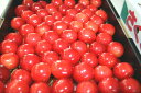 【産地直送】青森県産 最高級品種さくらんぼ「紅秀峰」1kg 贈答用手詰 送料無料