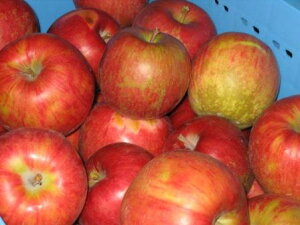 【青森りんご】青森県産の甘くて美味しいリンゴのおすすめは？