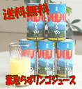 【 送料無料 】葉とらずりんごジュース 195g 30本 葉とらず りんごジュース 青研 紙パック カート缶 送料込