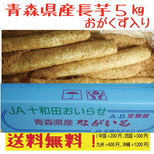 青森県産　長芋　　5kg　洗浄済み　ご家庭用　おがくず入り　送料無料！