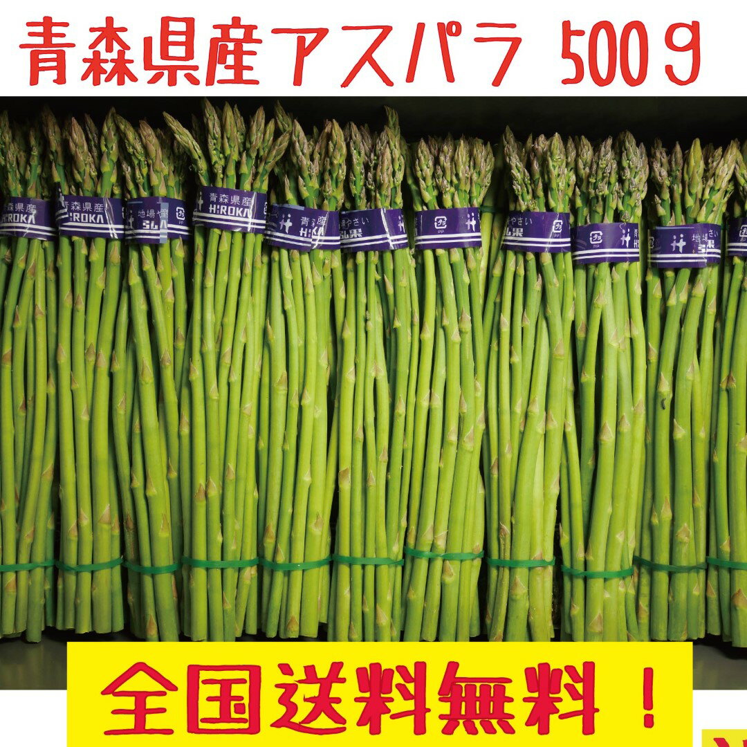 青森県産　グリーンアスパラ　　Sサイズ　500g　全国送料無料！　アスパラガスのサムネイル