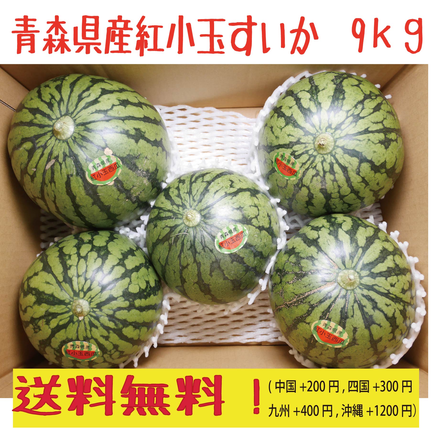 青森県産　小玉すいか4-8玉　　8-10kg　送料無料！