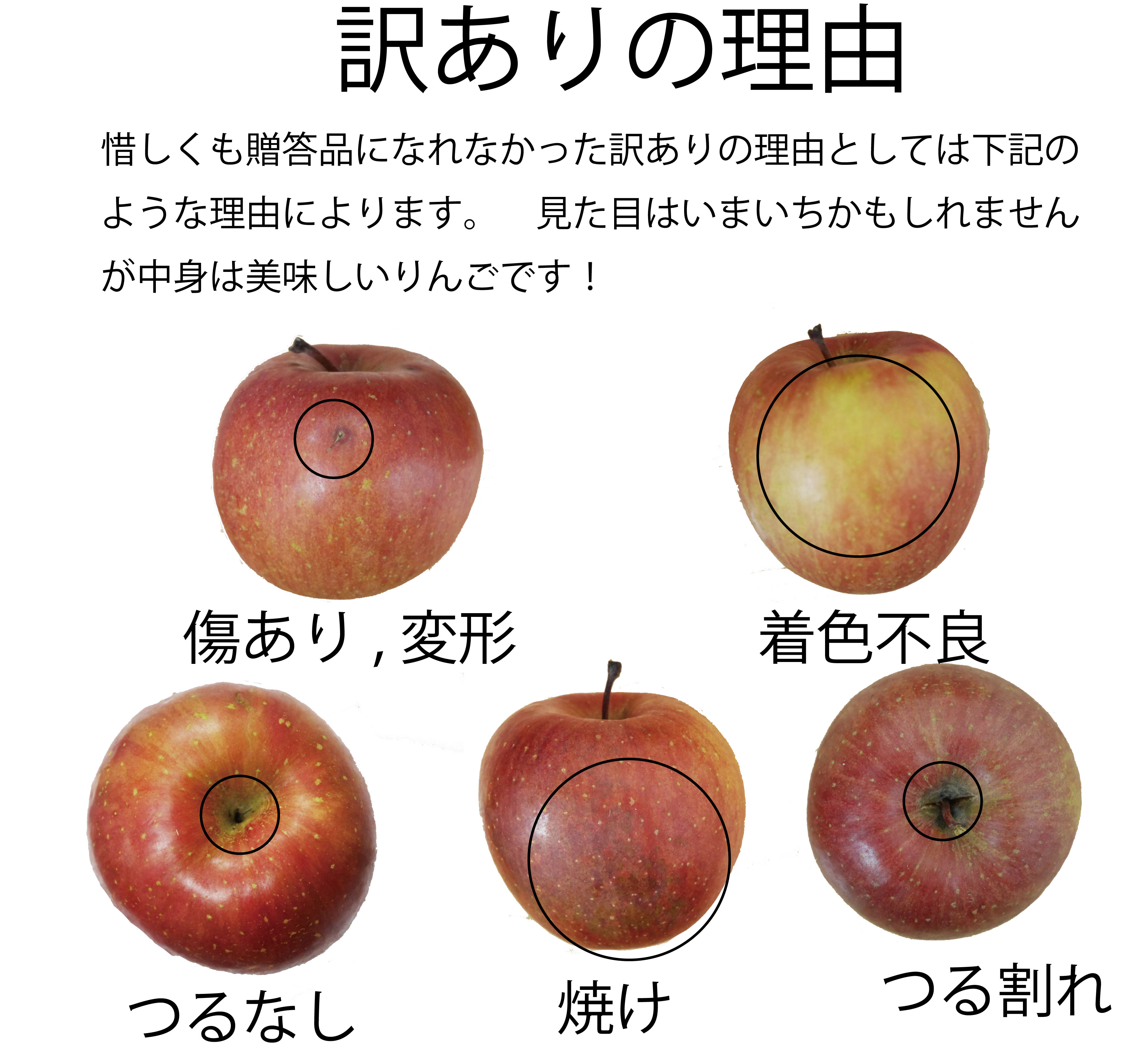 青森県産　りんご　　サンつがる 訳あり　30-50玉　10kg 送料無料