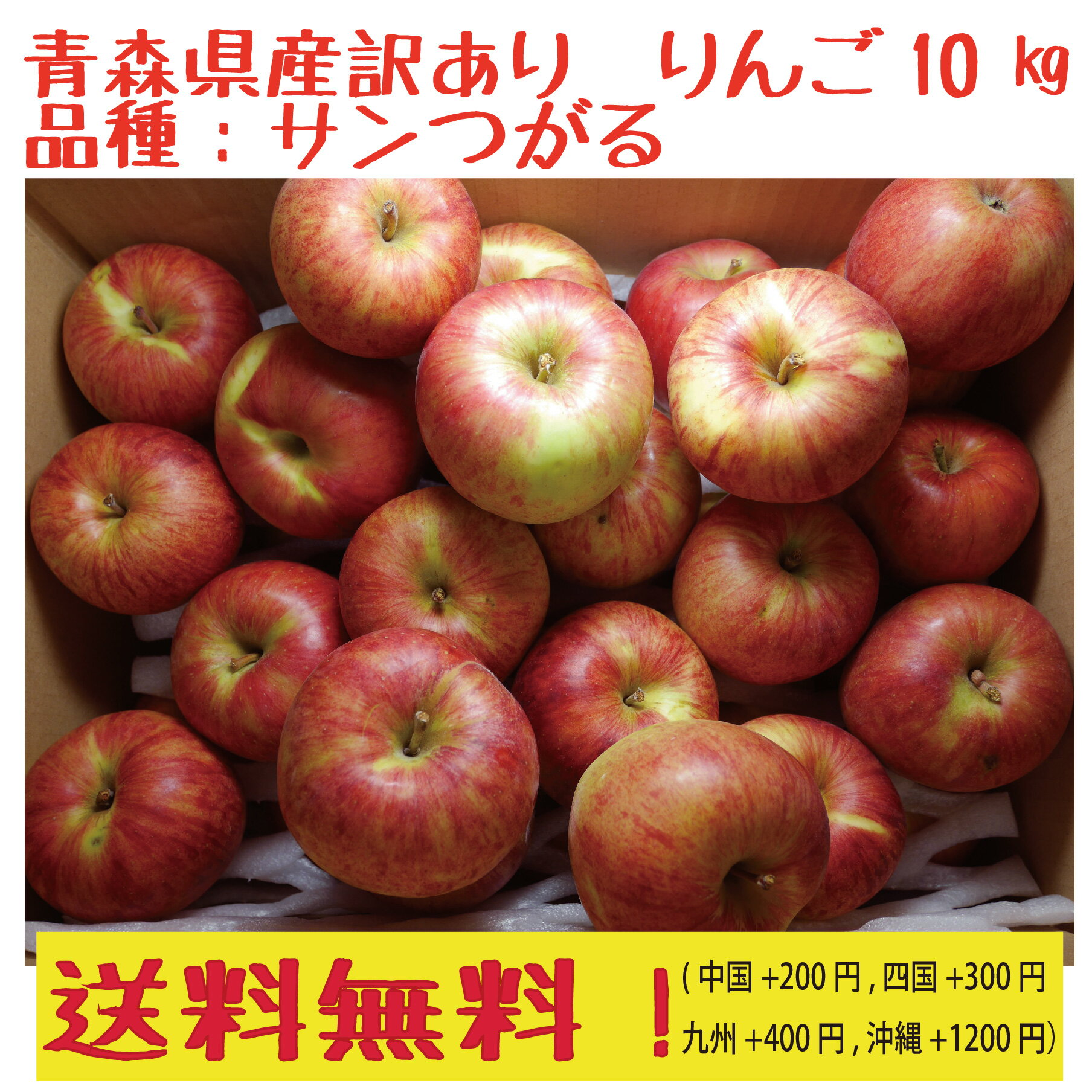 青森県産　りんご　　サンつがる 訳あり　30-50玉　10kg 送料無料