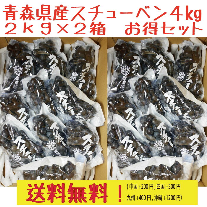 青森県産スチューベンぶどう ご家庭用（訳あり）4kg（2kg×2箱）　送料無料
