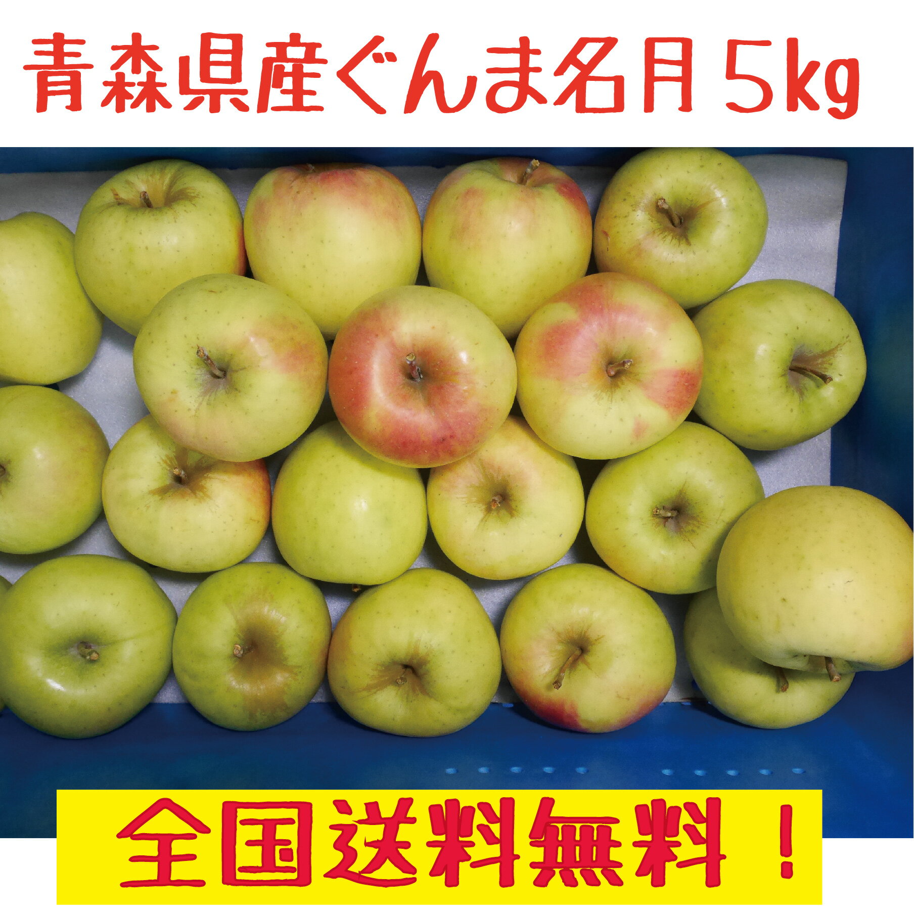 青森県産 りんご ぐんま名月 訳あり 5kg