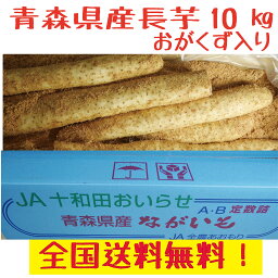 青森県産　長芋　家庭用　M-4L　10kg　洗浄済み　おがくず入り 全国送料無料！