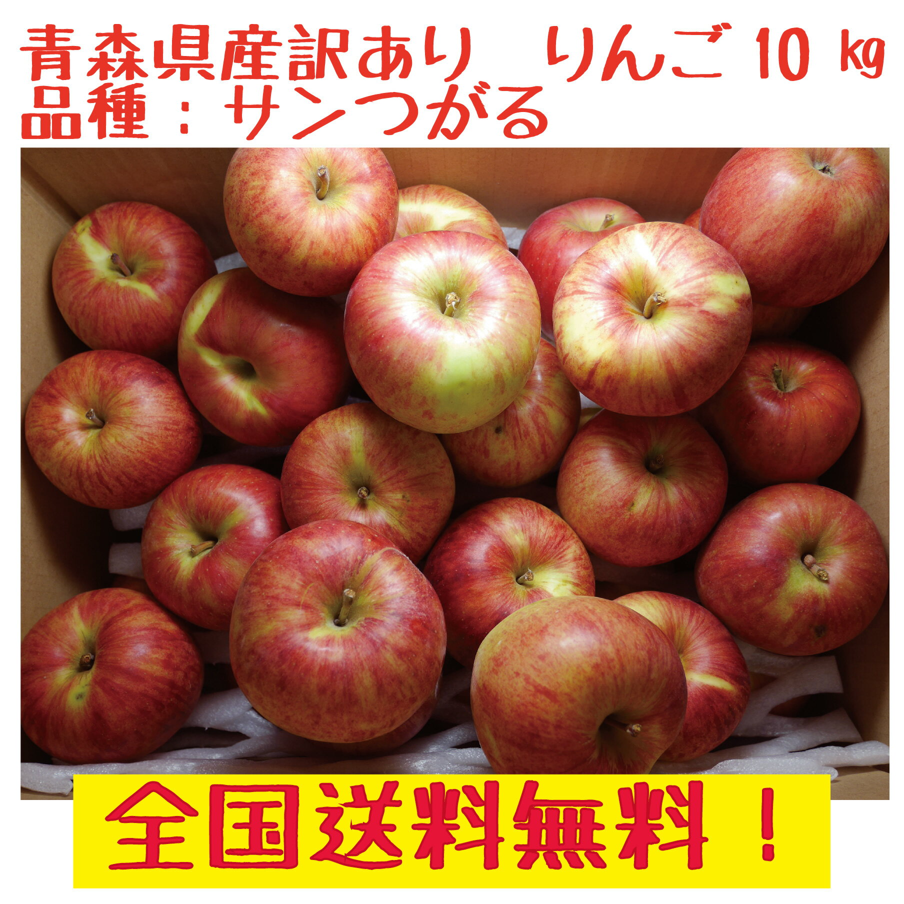 青森県産　りんご　　サンつがる 訳あり　30-50玉　10kg 送料無料