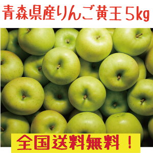 青森県産　りんご　黄王16-25玉　5kg　全国送料無料！