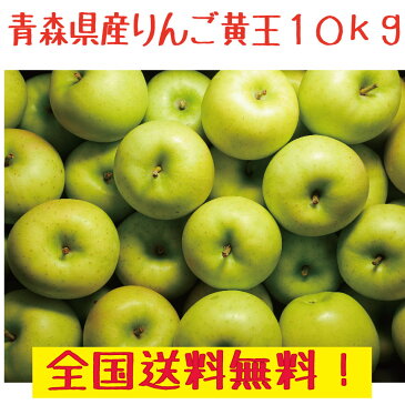 青森県産　りんご　黄王 32-50玉　10kg　全国送料無料！