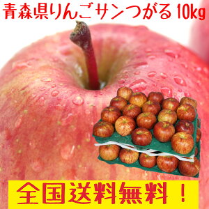 青森県産　りんご　　サンつがる 訳あり　30-50玉　10kg 送料無料