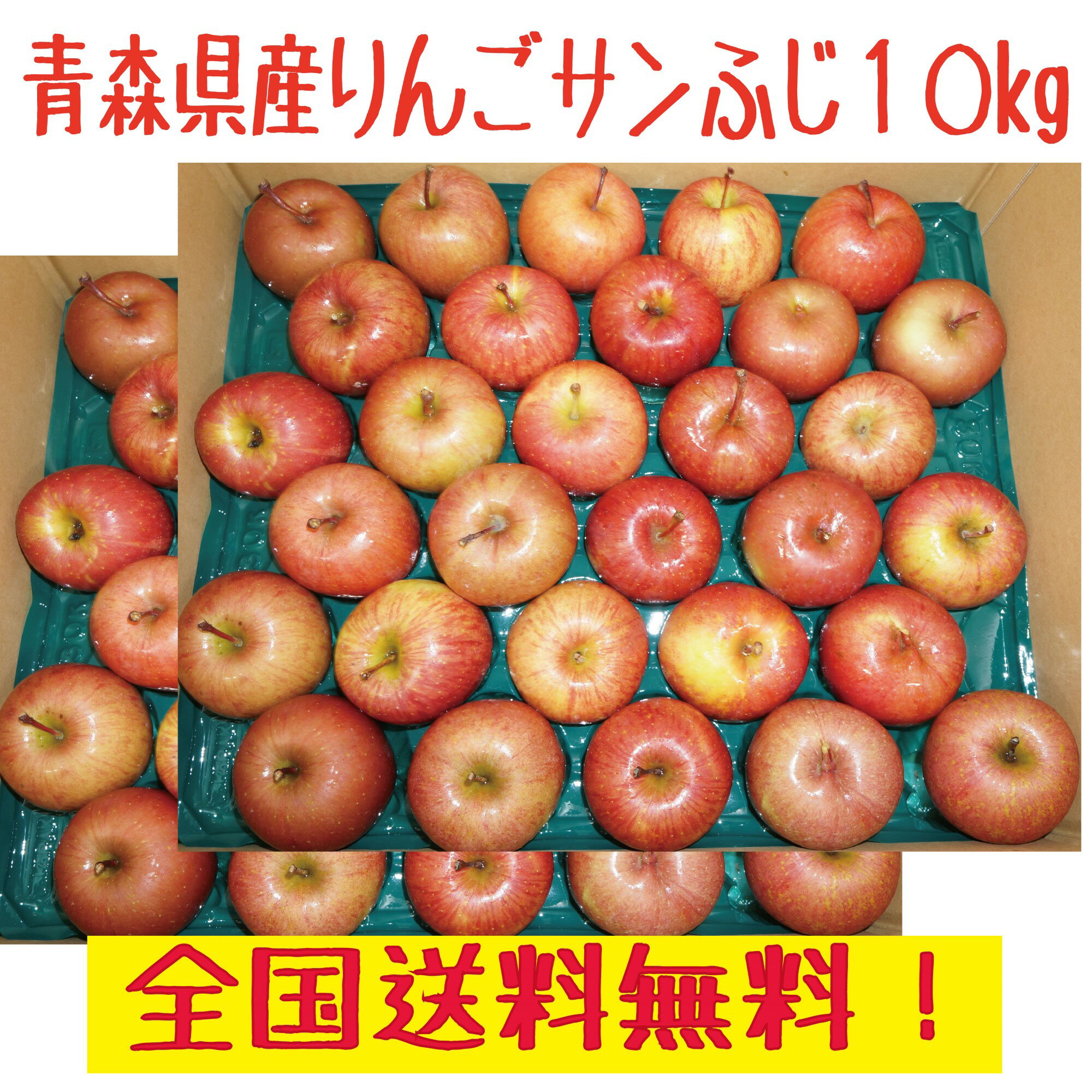 青森県産　りんご　　訳あり　ご家庭用　　サンふじ　小玉　10kg　送料無料！