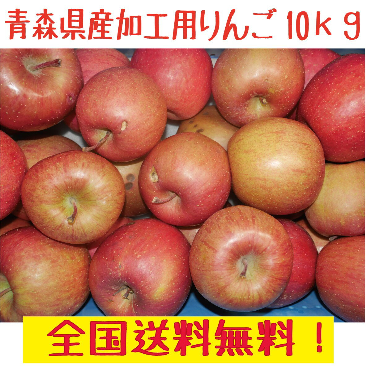 りんご 青森県産　りんご　サンふじ　加工用　10kg　生食可　送料無料！