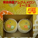 青森県産 つがりあん アムさんメロン 2-3玉 2.5-3kg 送料無料!