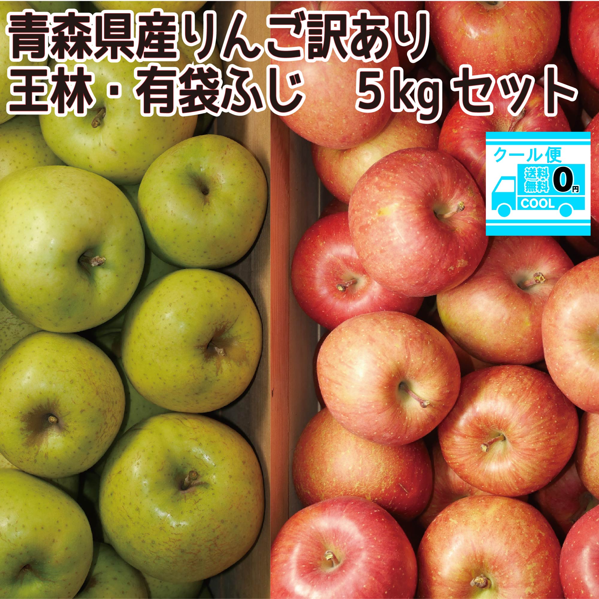 【ふるさと納税】自然の恵みいっぱいの葉とらずふじりんご 大玉 約5kg fz22-030 リンゴ 林檎 フルーツ 果物 お取り寄せ 送料無料