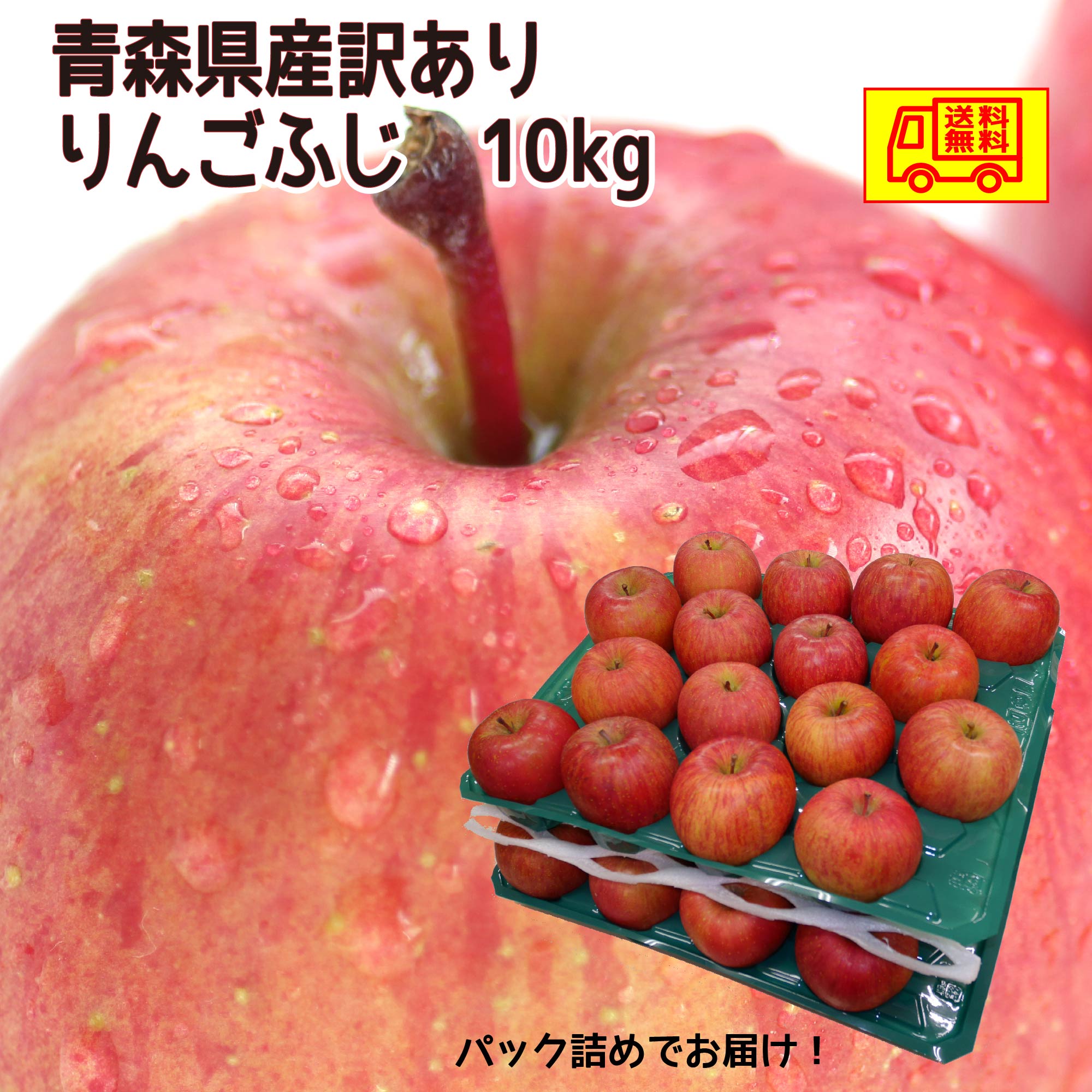 【ふるさと納税】自然の恵みいっぱいの葉とらずふじりんご 大玉 約5kg fz22-030 リンゴ 林檎 フルーツ 果物 お取り寄せ 送料無料