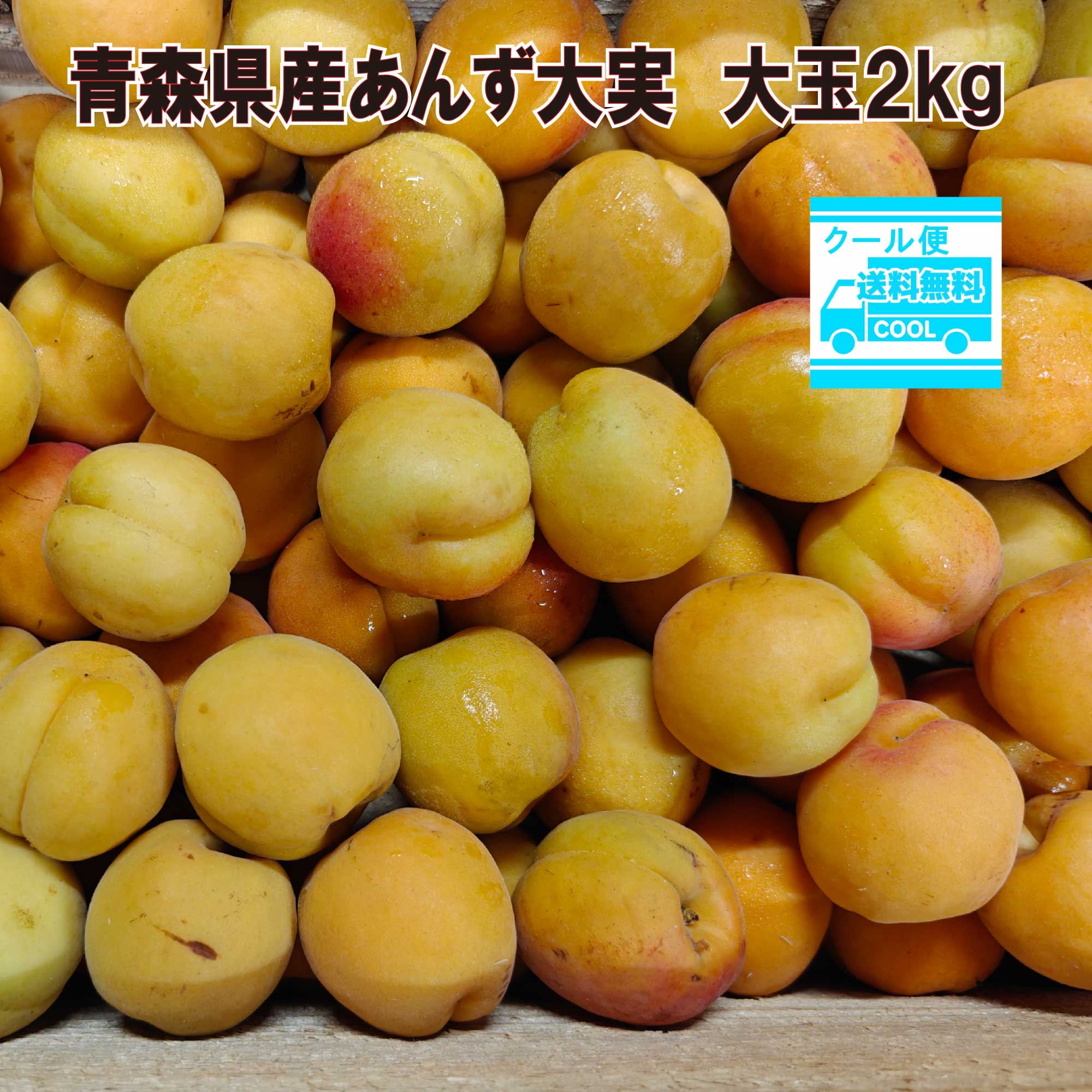 クール便冷蔵便込み！　青森県産　生　あんず　杏　大実　大玉　2kg