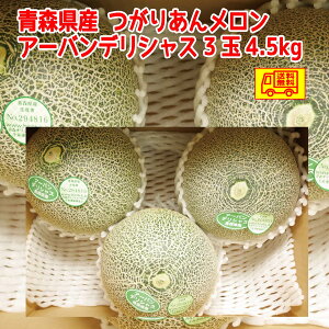 青森県産 つがりあんメロン 青肉メロン 2-4 玉 4-5kg 送料無料! アーバンデリシャスorハニーゴールデン