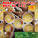 贈答用 秀品 青森県産 つがりあんメロン アムさんメロン 5-6 玉 5-6kg お中元に 全国送料無料!
